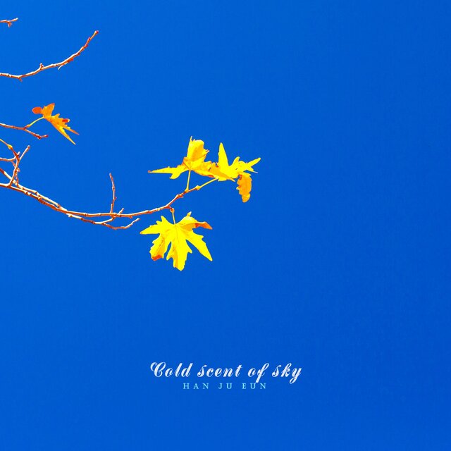 Cool scent of sky