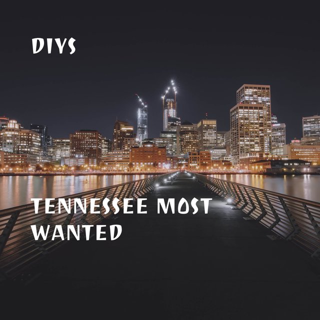 Tennessee Most Wanted
