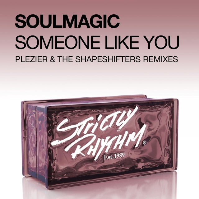 Someone Like You (Plezier & the Shapeshifters Remixes)