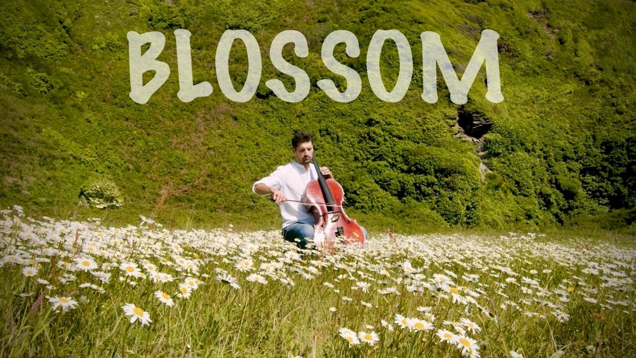 Blossom