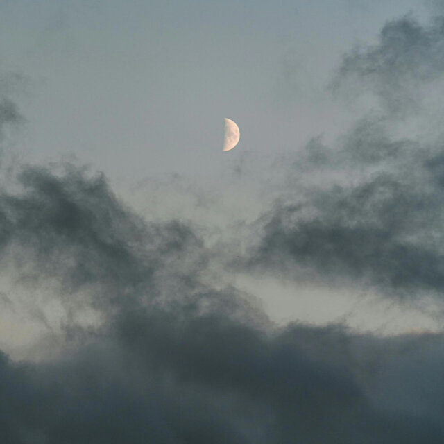 fly me to the moon