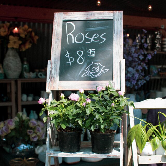 Roses