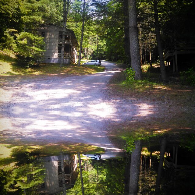 Voices from the Cabin