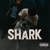 Shark(fast) (feat. Upshvt)