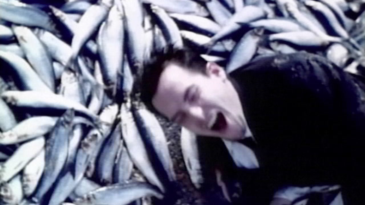 Jurassitol by Filter on TIDAL