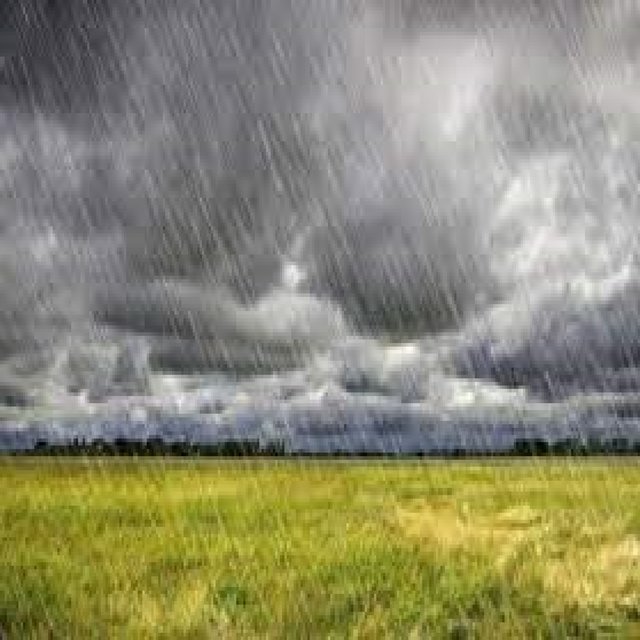 Gentle Rain Showers and Angry Thunderstorms