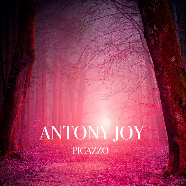 Picazzo