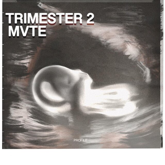 Trimester 2