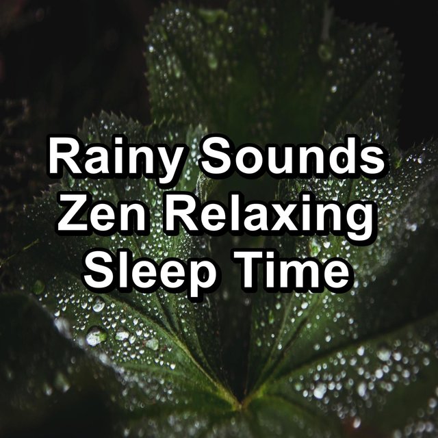 Rainy Sounds Zen Relaxing Sleep Time