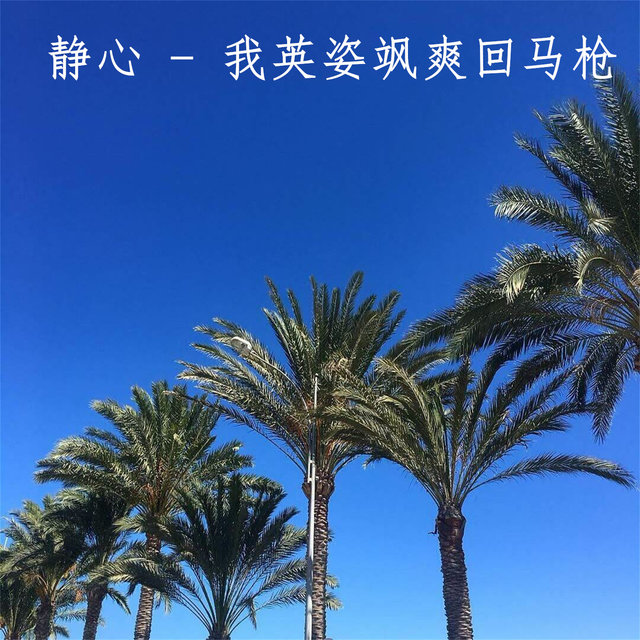 我英姿飒爽回马枪