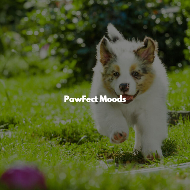PawFect Moods