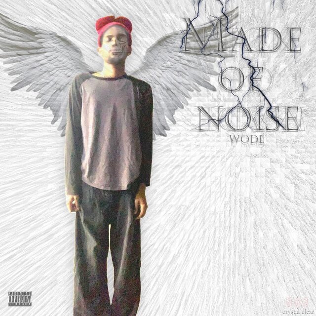 WINGS(demo)