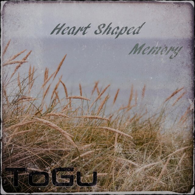 Heart Shaped Memory