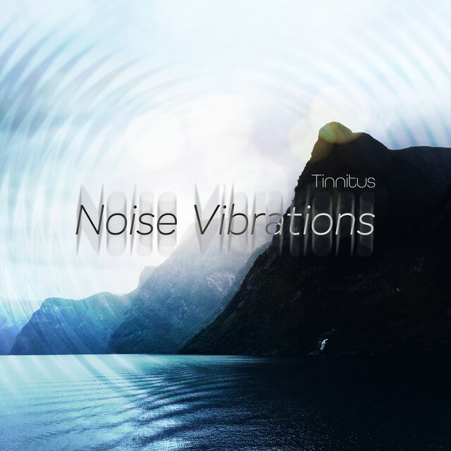 Noise Vibrations