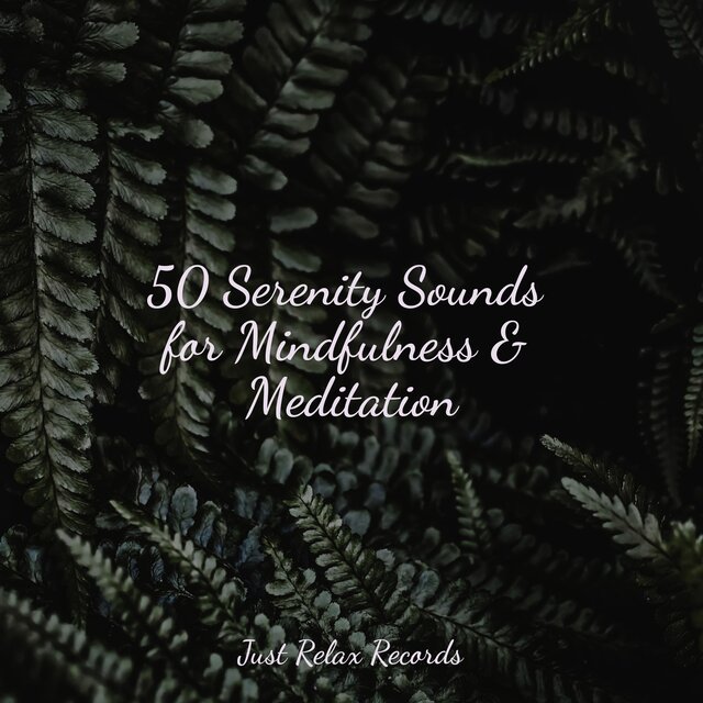 50 Serenity Sounds for Mindfulness & Meditation