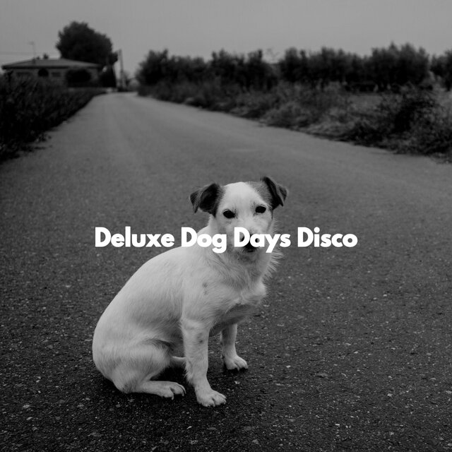 Deluxe Dog Days Disco