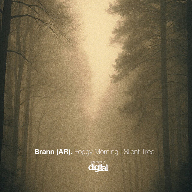 Foggy Morning | Silent Tree