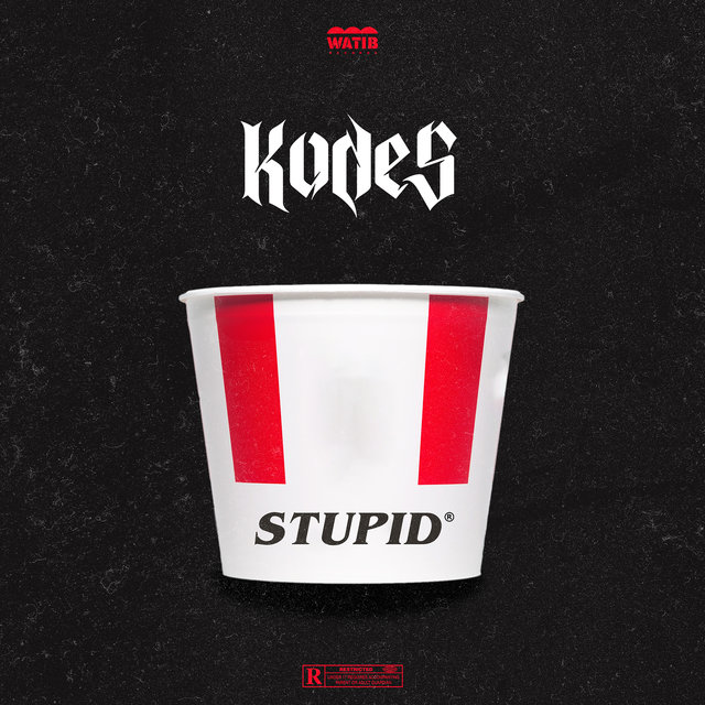 Stupid (Freestyle Rapelite)