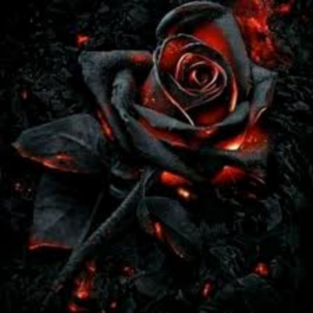 Yaari : an old flame