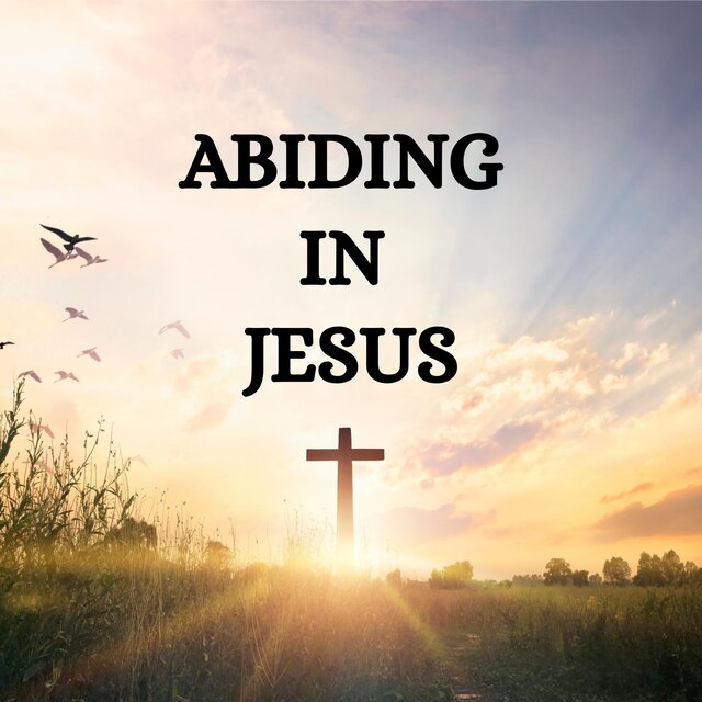 Abiding in Jesus (1 Hour Instrumental)