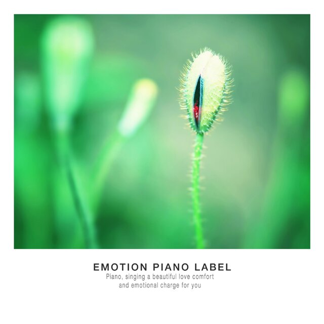 Parental Piano Collection with Mother's Love