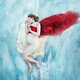 Cover art for album Riegádahttin by Mirja Palo