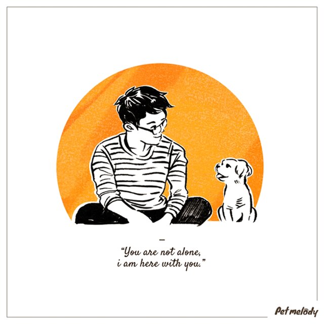 Music Lullaby for pets