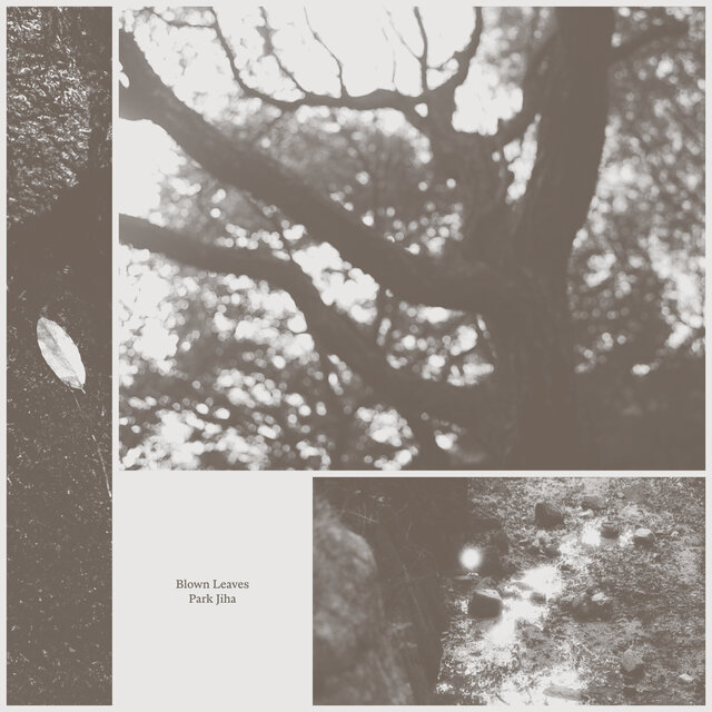 Blown Leaves