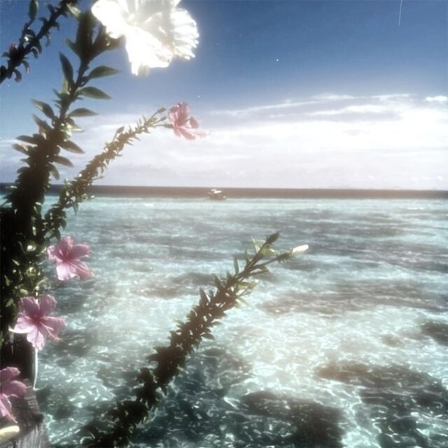 island luv