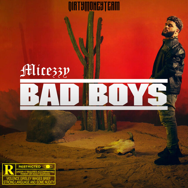 Bad Boys