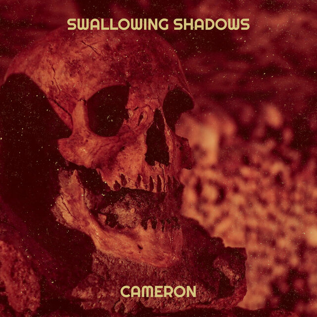 Swallowing Shadows