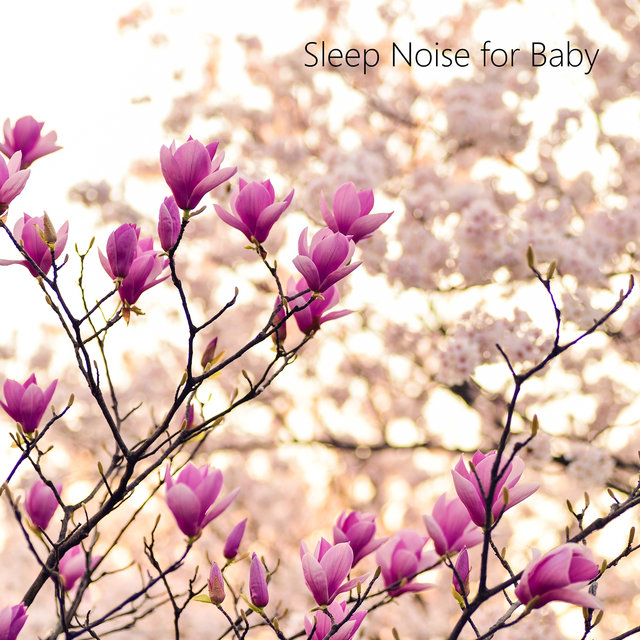Both for Sleep and Meditation Zen Calm Noises for Looping