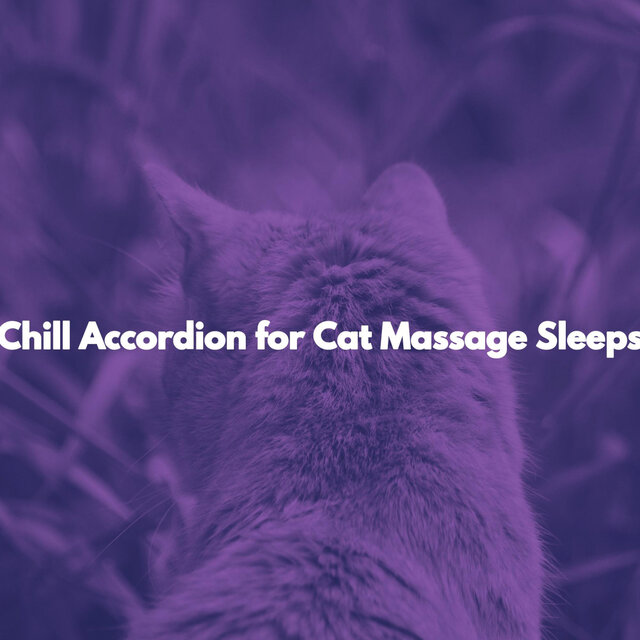 Chill Accordion for Cat Massage Sleeps