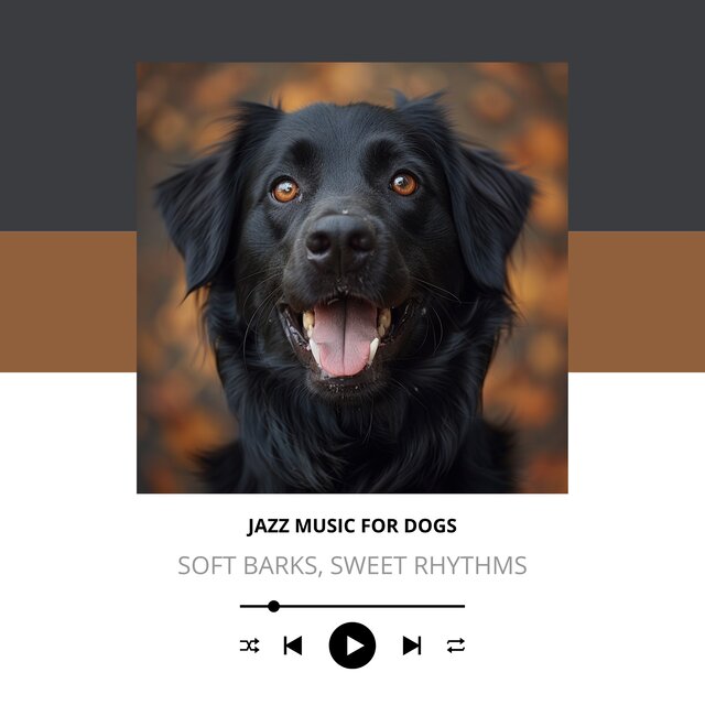 Soft Barks, Sweet Rhythms