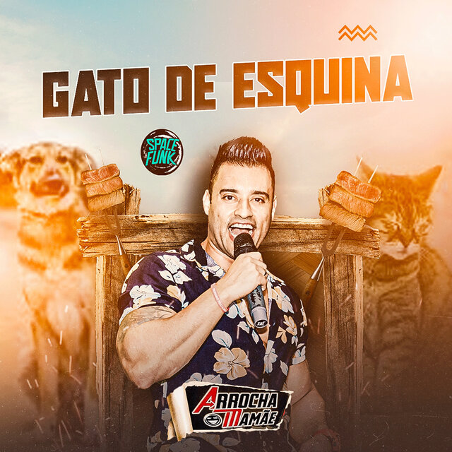 Gato de Esquina