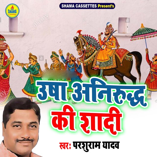 Usha Anirudh Ki Shadi