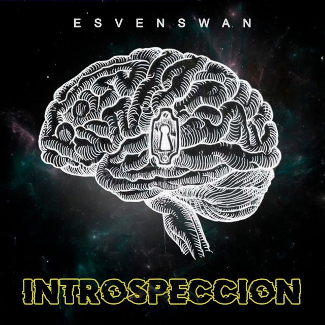 Introspección