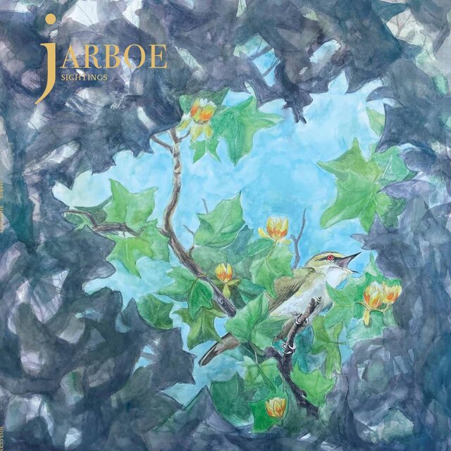 Cover art for album SIGHTINGS by Jarboe