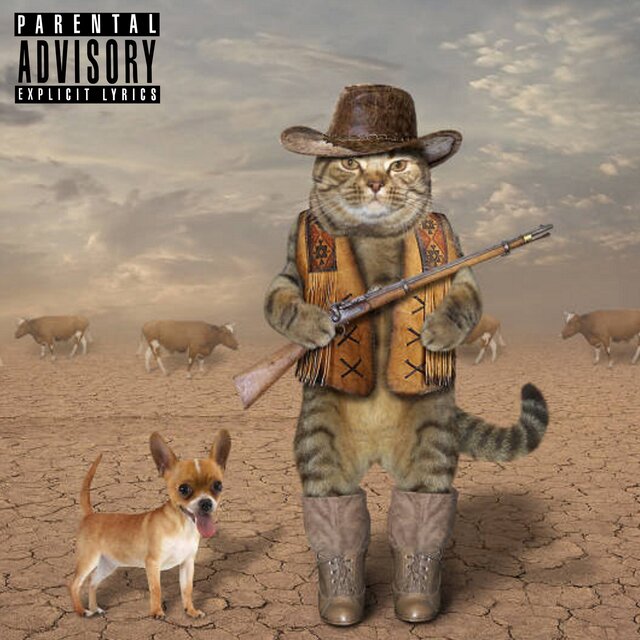 Howdy