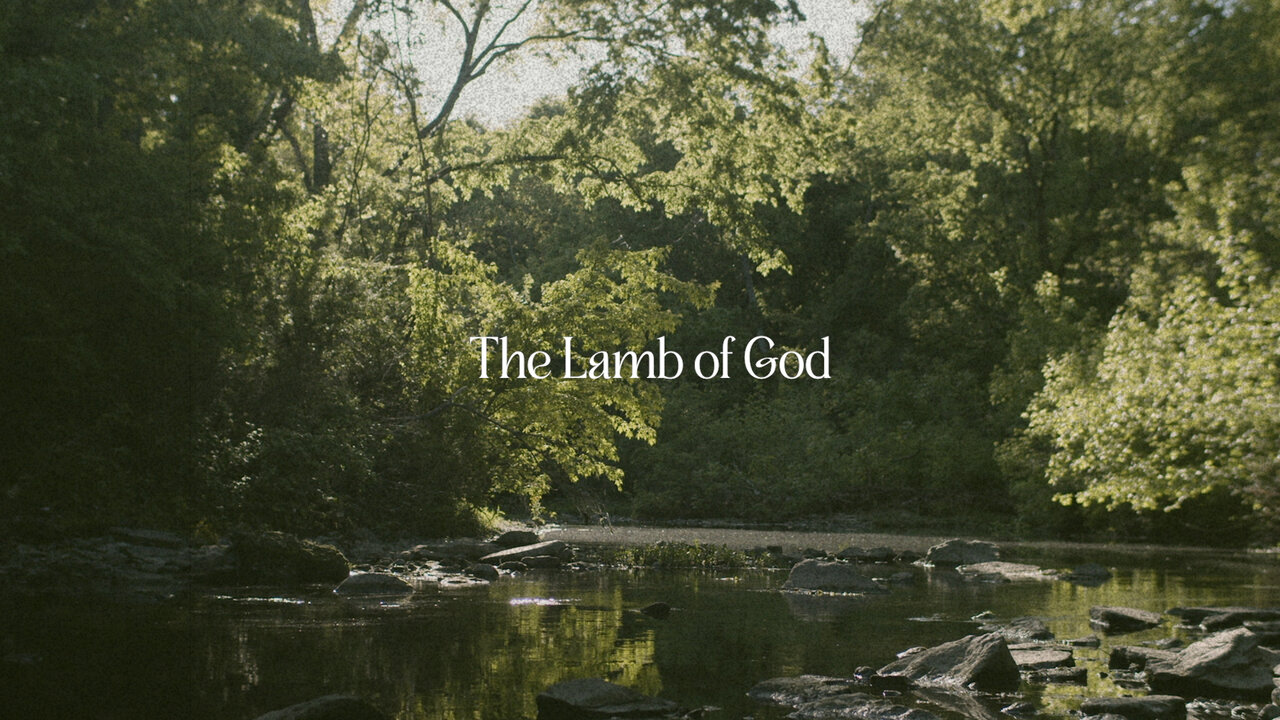 Lamb of God (Official Lyric Video)