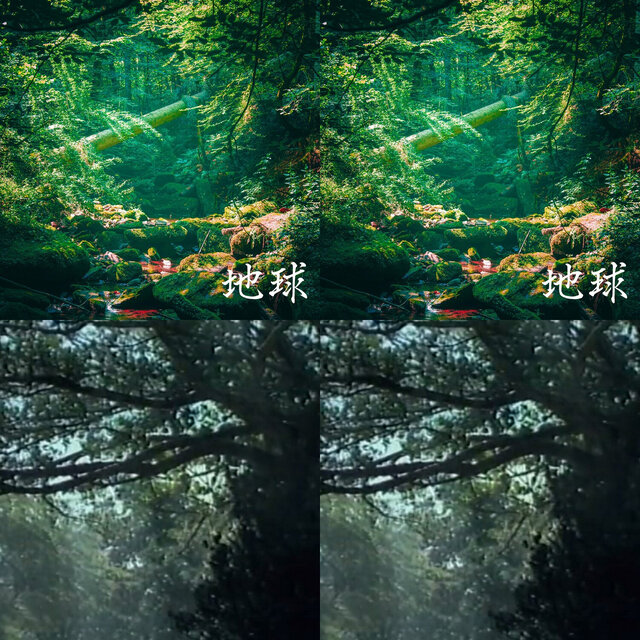 Nature Trip