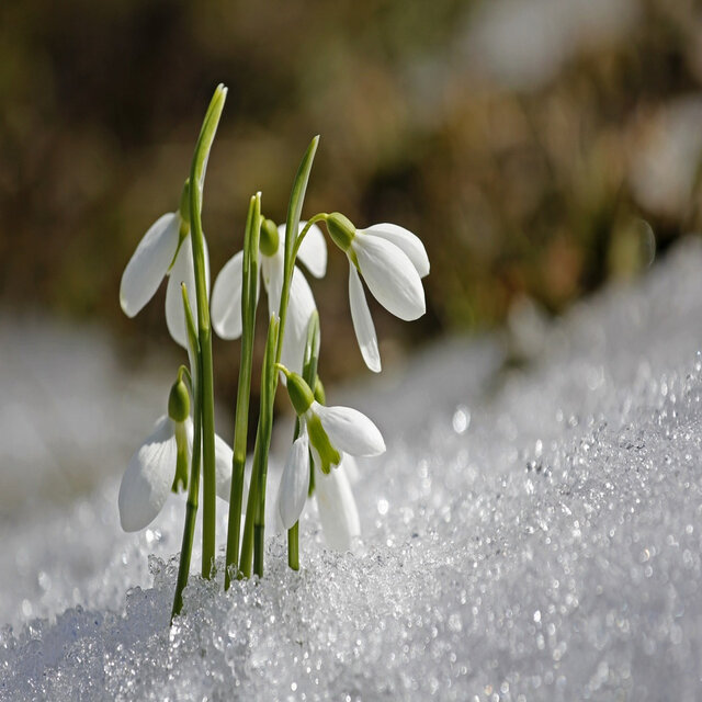 After winter
