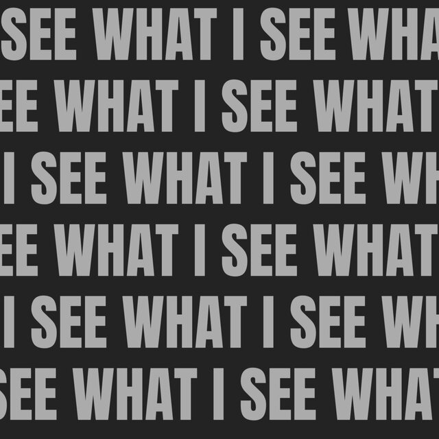 SEE WHAT I SEE