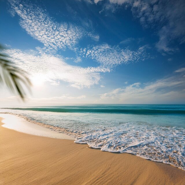 On the coast（Ska）