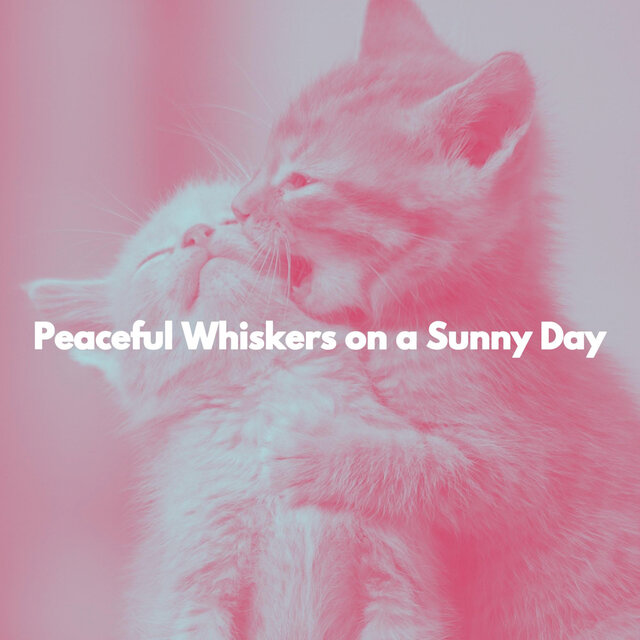 Peaceful Whiskers on a Sunny Day