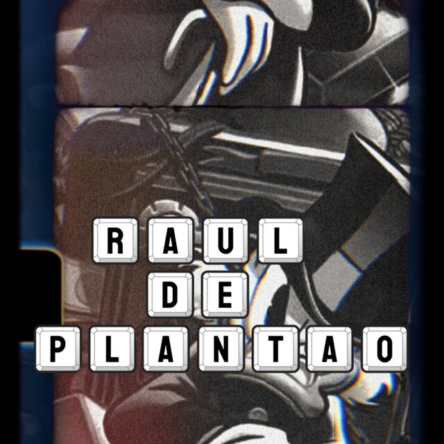 RAUL DE PLANTÃO