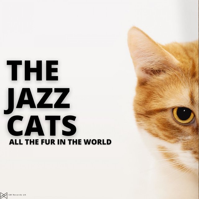 All The Fur In The World