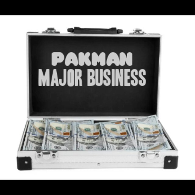 MAJOR BUSINESS