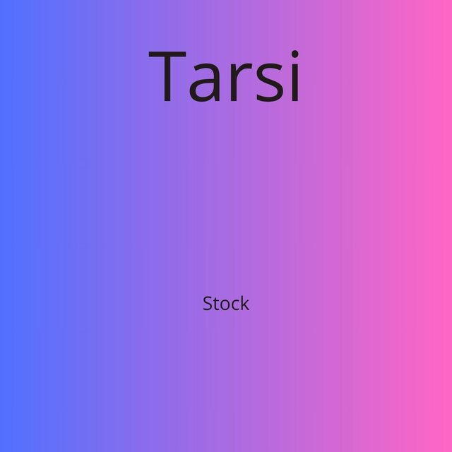 Stock