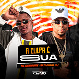 A Culpa É Tua Você Falou pra Fulana